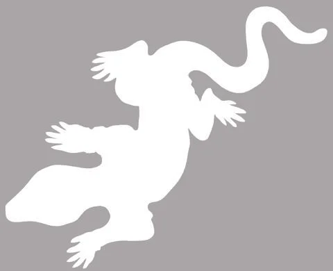 Lizard White Stock Illustration