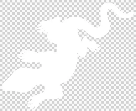 Lizard White Stock Illustration