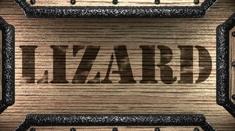 Lizard on wooden stamp Видео 8776210