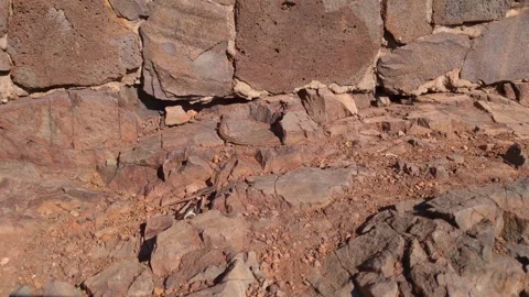 Lizards crawl along the rocks in the sun Stock Footage 255297764