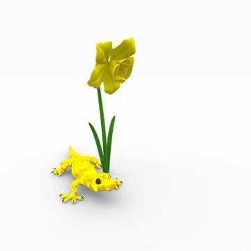 Lizards 스톡 일러스트