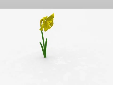 Lizards Stock Illustration