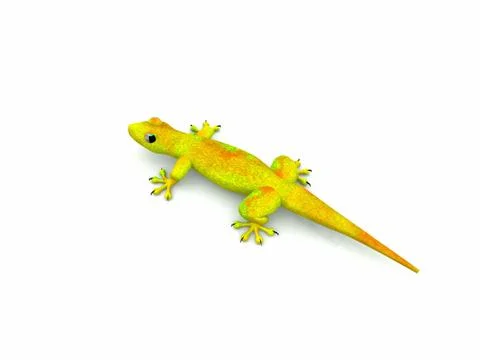 Lizards Stock-Illustration