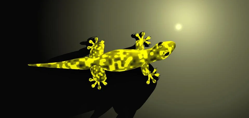 Lizards Stock-Illustration