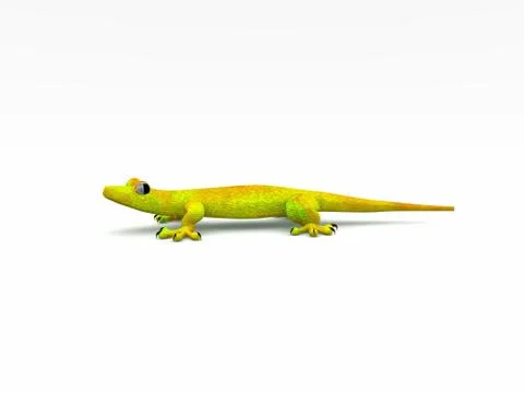 Lizards Stock Illustration
