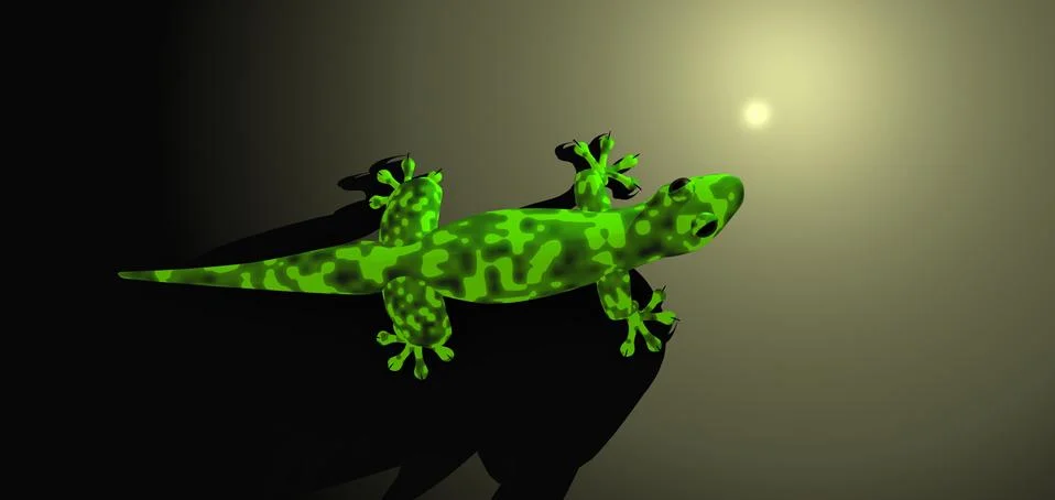 Lizards Stock-Illustration