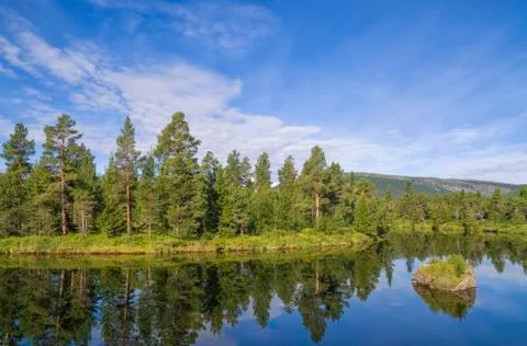 The Ljusnan river Foto stock