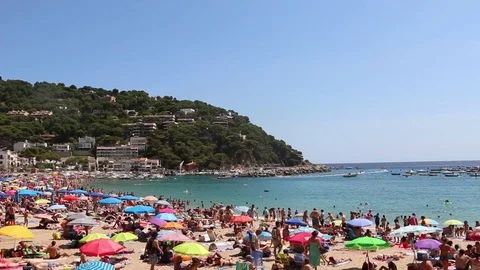 Llafranc coastline Stock Footage 87878967