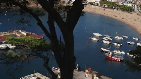 Llafranc Video stock 167694584