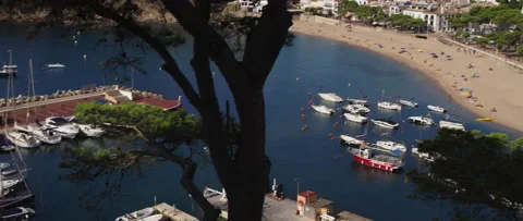 Llafranc Stock Footage 167741045