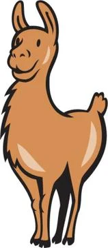 Llama cartoon Stock Illustration