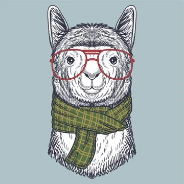 Llama hand drawn wearing a red glasses and scarf Stock Illustration