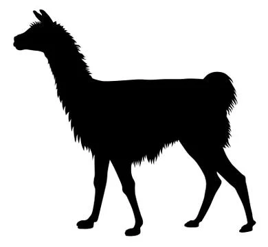 Llama Stock Illustration