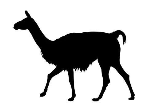 Llama silhouette Stock Illustration