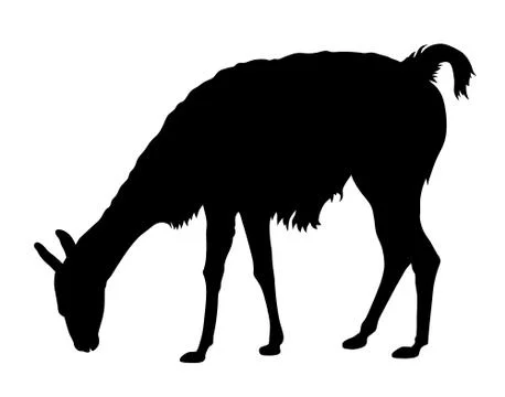 Llama silhouette Stock Illustration