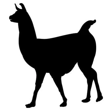Llama silhouette Illustrazione stock