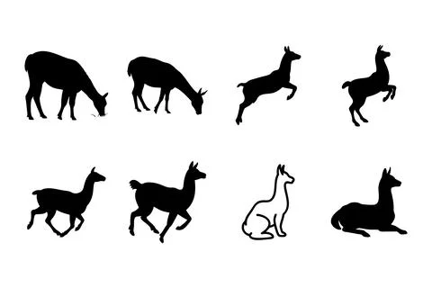 Llama silhouette set Stock Illustration