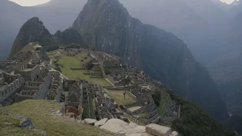 Llamas walk in front of empty Machupichu city, Peru Stock Footage 81888207