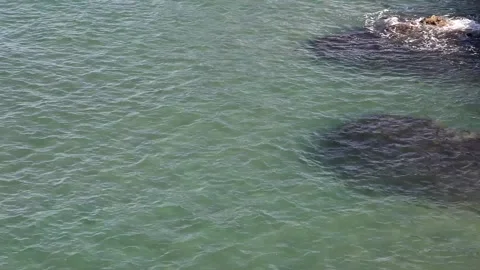 Llanes cliffs in Spain Stock Footage 135894119