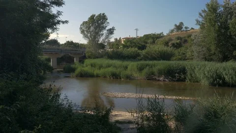 Llobregat river water stream bridge fresh agua trees green brown summer sunny Stock Footage 113113218