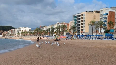 Lloret de Mar Spain September 11,2024 Idyllic Coastal Avenue With Unoccupied Sun Stock Footage 329187423