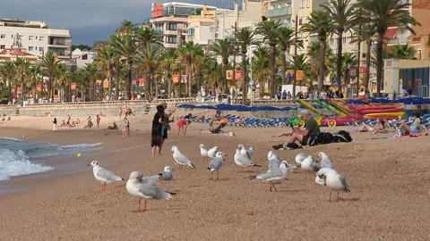 Lloret de Mar Spain September 11, 2024Heavily Populated Seaside Location Filled Stock Footage 329187424