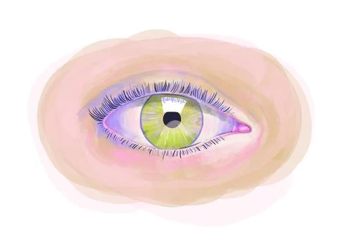 Llustration of a green female eye on a white background Stock Illustration