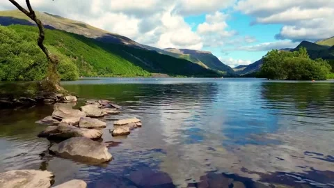 Llyn Padarn Lonely tree, Llanberis UK 2025 Aug 02; Hardy Birch tree; 4k video Stock Footage 343557278