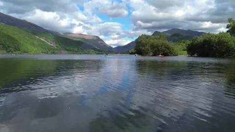 Llyn Padarn Lonely tree, Llanberis UK 2025 Aug 02; Hardy Birch tree; 4k video Stock Footage 343557830