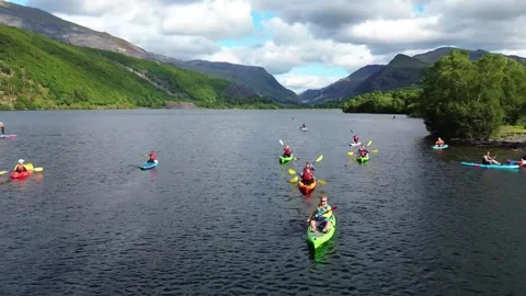 Llyn Padarn Lonely tree, Llanberis UK 2025 Aug 02; Hardy Birch tree; 4k video Stock Footage 343558154