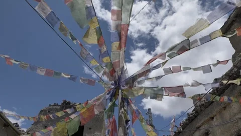 LM01 Video stock 327457868