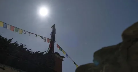 LM025 Video stock 327457939