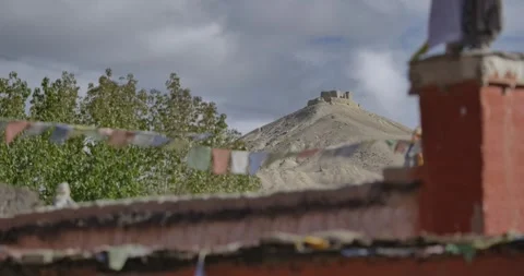 LM034 Video stock 327461884