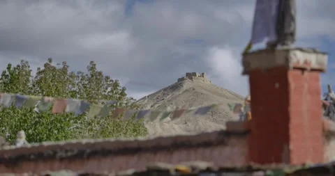 LM036 Video stock 327457972