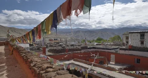 LM039 Video stock 327458014