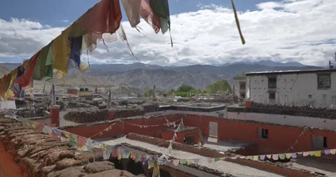 LM040 Video stock 327458010