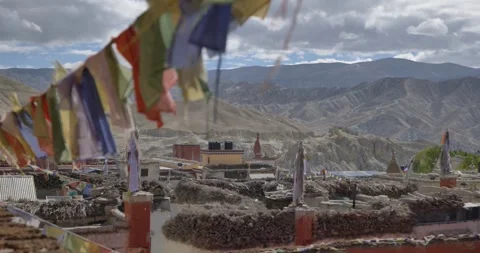 LM041 Video stock 327458013