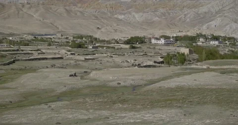 LM07 Video stock 327457885