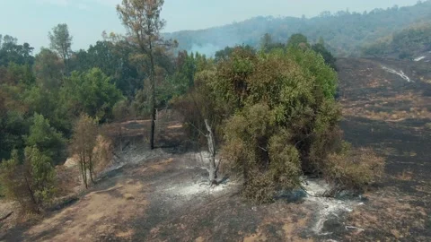 LNU Lightning Complex Fire, Napa, California, USA. August 2020. Stock Footage 138076414