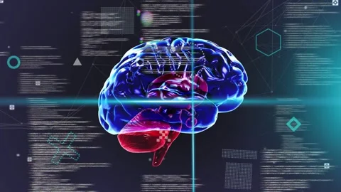 On load 3D brain appearing left center, rotating, scanning, pulsing while HUD Stock Footage 334337883