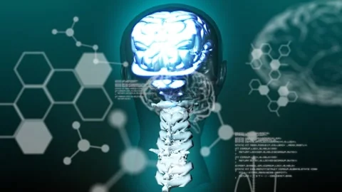 On load 3D head rotating left while brain pulsing, spine showing, overlays Stock Footage 335652068