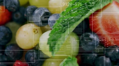 On load berry cluster staying while HUD overlaying wireframe boxes and round Stock Footage 332468897