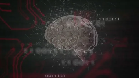 On load brain rotating pulses sweeping cortex circuit board visualizing neural Stock Footage 311883706