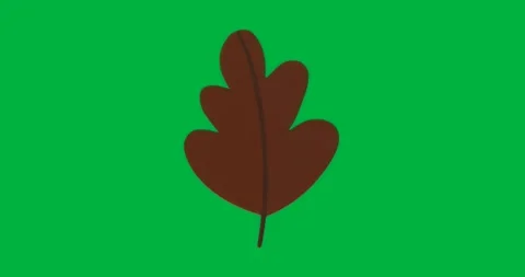 On load brown leaf pixel edges flickering showing outline detail on transparent Stock Footage 317450431