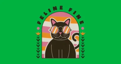 On load, cat wearing shades under FELINE FINE, pulsing border, drifting speckles Stock Footage 317284823