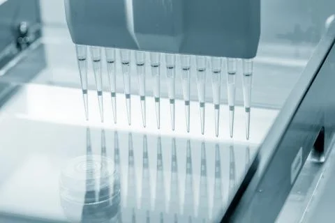 	load DNA sample in electrophoresis device Stock Photos