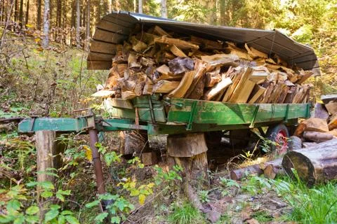 Load of firewood Foto stock