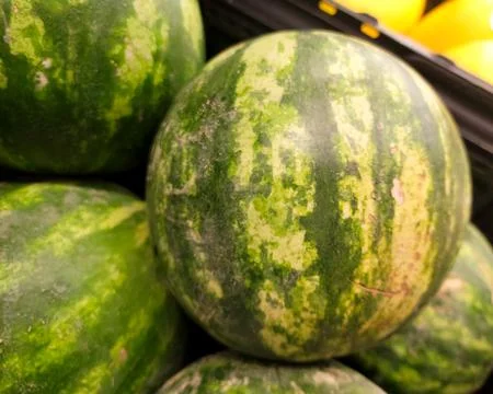 A load of fresh watermelons. Stock Photos