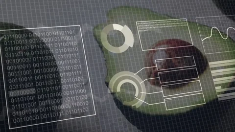 On load halved avocado hosting HUD overlays sliding, rings forming over pit Stock Footage 333540146