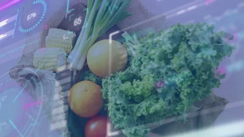 On load HUD overlays sweeping tray scallions corn citrus tomato kale, Stock Footage 334744064